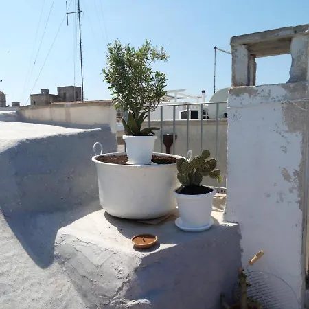 Charming Sea-view House In With Terrace *